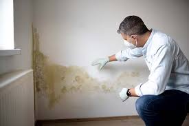 Best Airborne Mold Testing  in Kittanning, PA